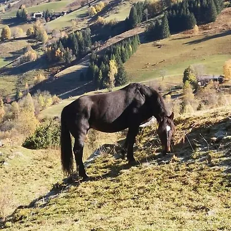 아파트 Johanna 3 *