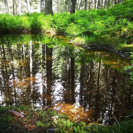 아파트 Johanna 3 *