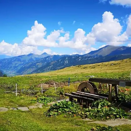 아파트 Johanna 3 라우리스